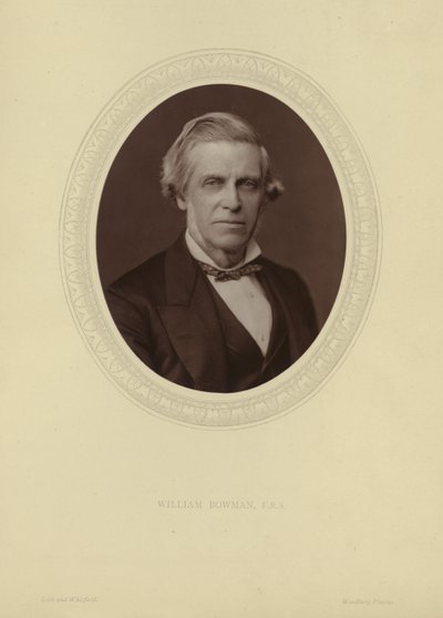 صورة السير ويليام بومان بواسطة لوك ويتفيلد